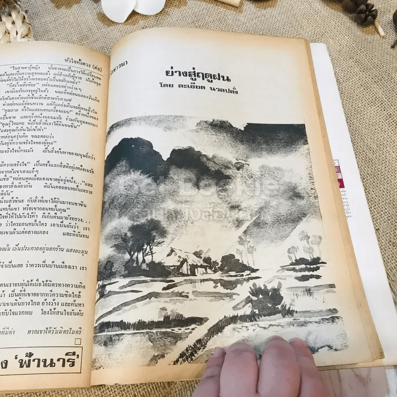 ฟ้าเมืองทอง ฉบับที่ 27 มิ.ย.2521 รูปที่ 30