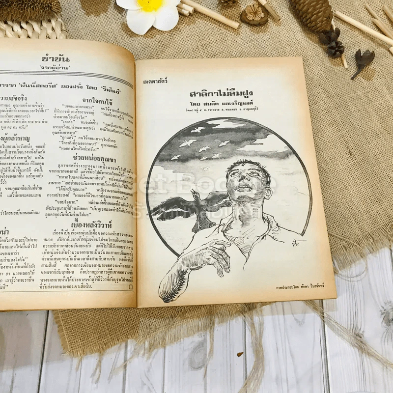 ฟ้าเมืองทอง ฉบับที่ 27 มิ.ย.2521 รูปที่ 10