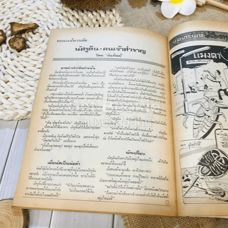 ฟ้าเมืองทอง ฉบับที่ 27 มิ.ย.2521 รูปที่ 32