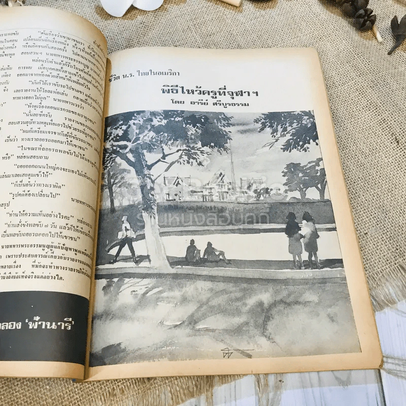 ฟ้าเมืองทอง ฉบับที่ 32 พ.ย.2521 รูปที่ 21