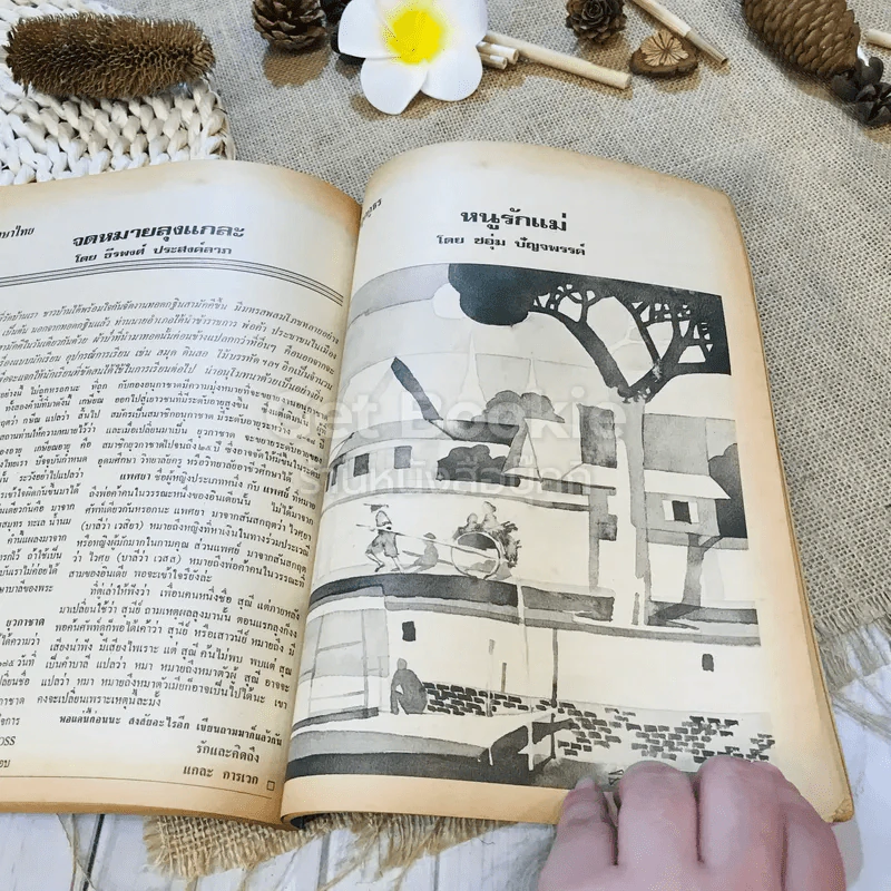 ฟ้าเมืองทอง ฉบับที่ 32 พ.ย.2521 รูปที่ 28