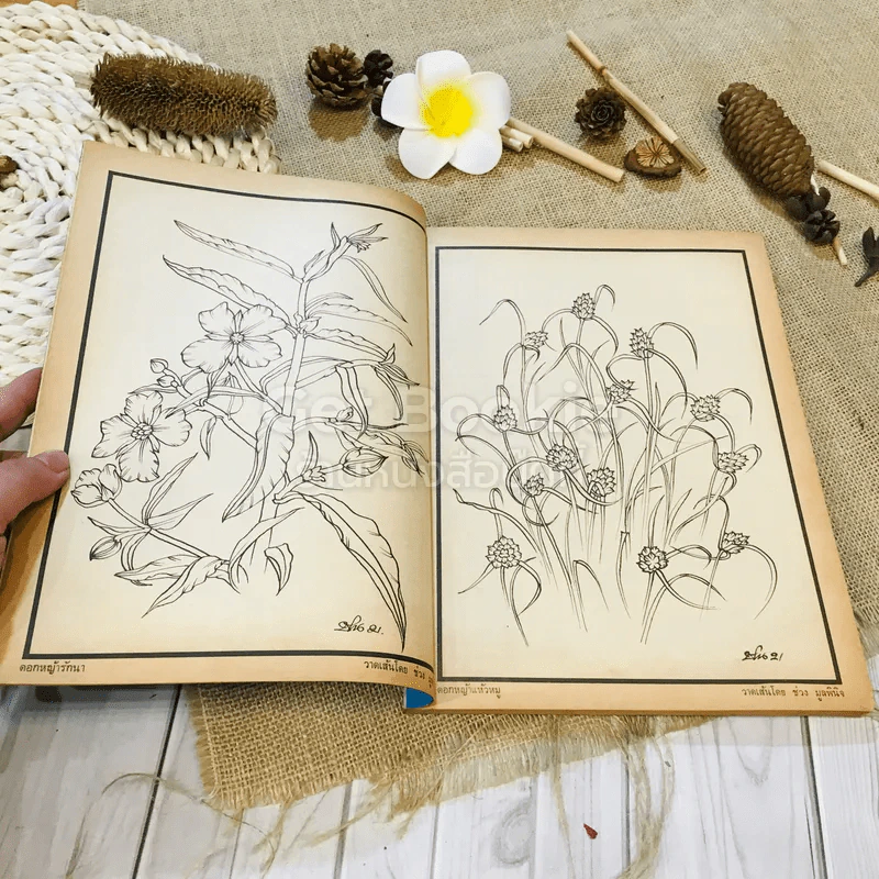 ฟ้าเมืองทอง ฉบับที่ 32 พ.ย.2521 รูปที่ 9