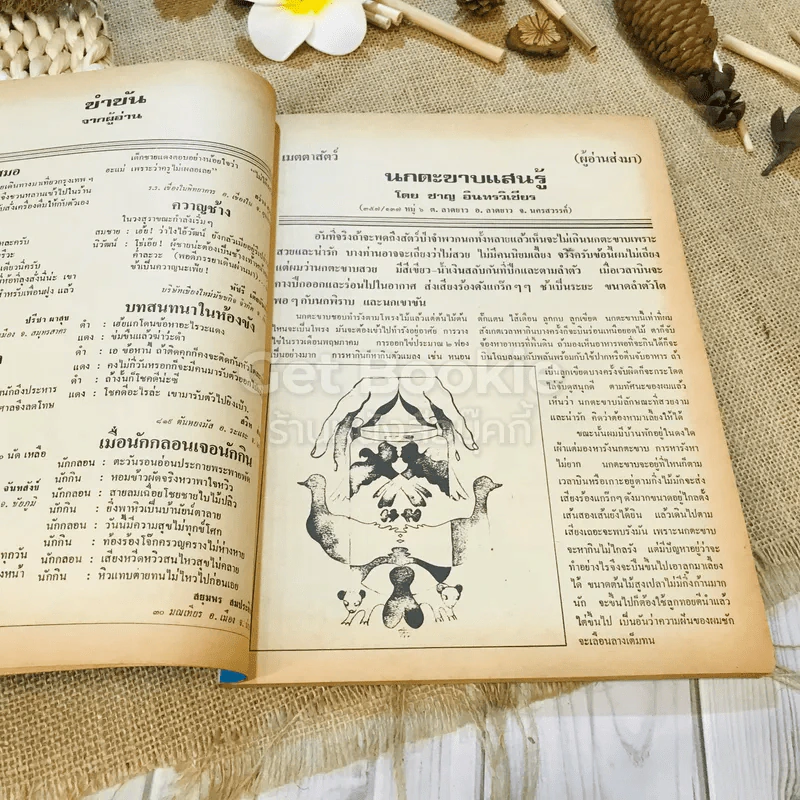 ฟ้าเมืองทอง ฉบับที่ 32 พ.ย.2521 รูปที่ 10