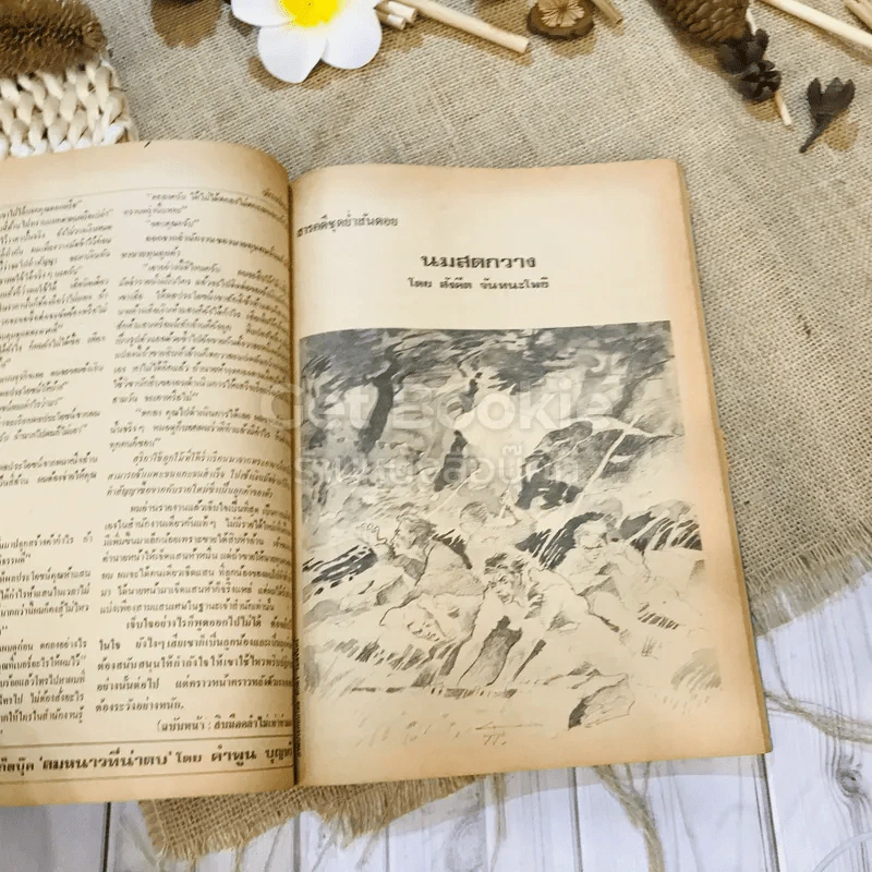 ฟ้าเมืองทอง ฉบับที่ 34 ม.ค.2522 รูปที่ 21