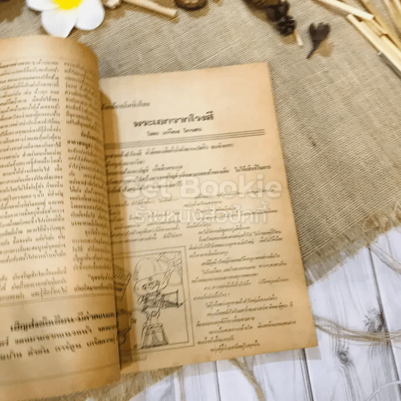 ฟ้าเมืองทอง ฉบับที่ 34 ม.ค.2522 รูปที่ 11