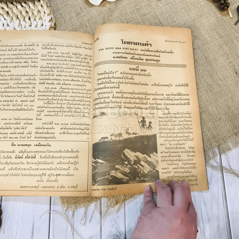ฟ้าเมืองทอง ฉบับที่ 34 ม.ค.2522 รูปที่ 36