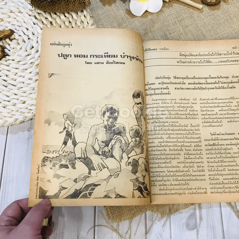 ฟ้าเมืองทอง ฉบับที่ 34 ม.ค.2522 รูปที่ 18