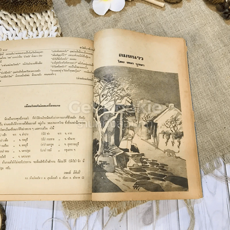 ฟ้าเมืองทอง ฉบับที่ 34 ม.ค.2522 รูปที่ 32