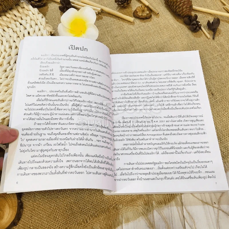 บันทึก: จากฟ้าคนละฟาก รูปที่ 6