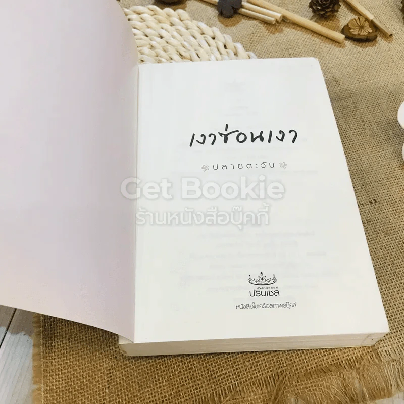 เงาซ่อนเงา - ปลายตะวัน รูปที่ 4