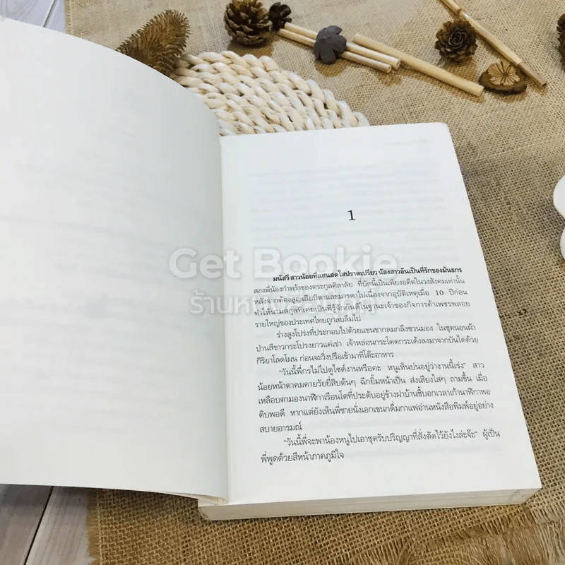 เงาซ่อนเงา - ปลายตะวัน รูปที่ 6