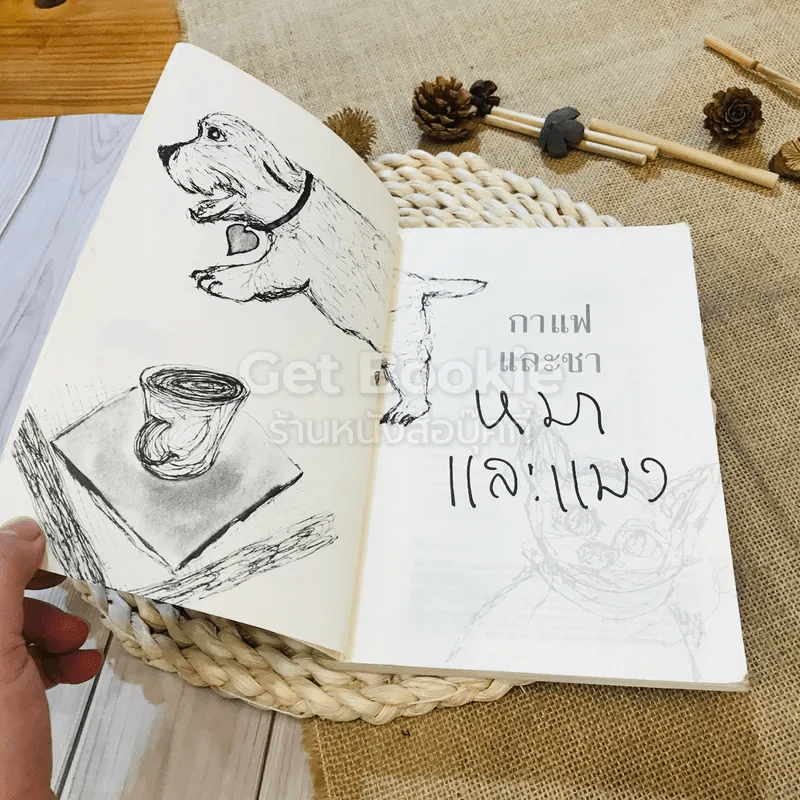 กาแฟและชา หมาและแมว รูปที่ 5