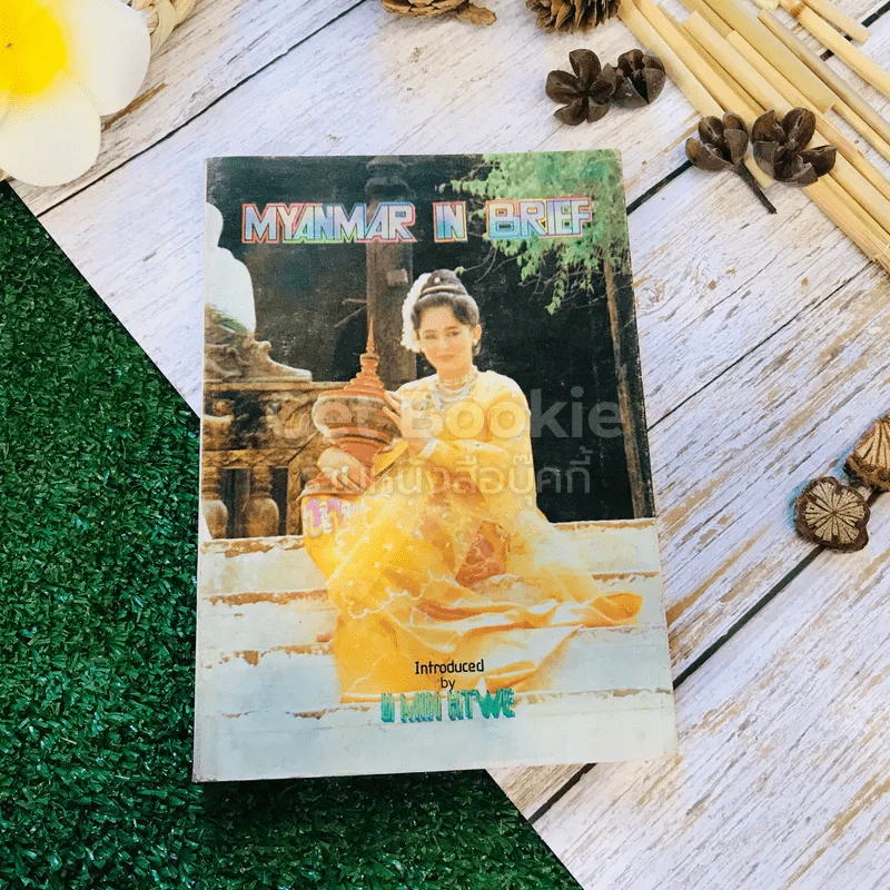 Myanmar In Brief 1995 รูปที่ 1