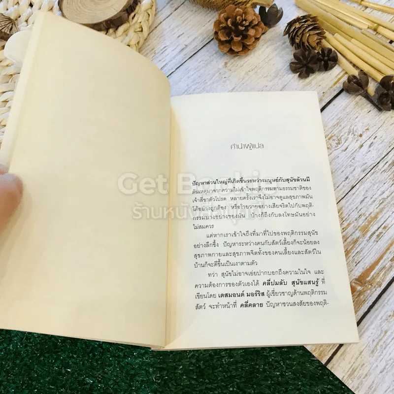 คลี่ปมลับสุนัขแสนรู้ รูปที่ 7
