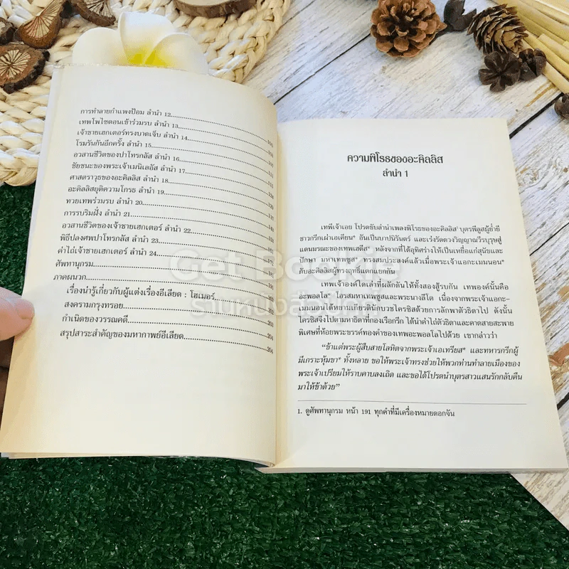 อีเลียด จาก Iliad ต้นฉบับภาษาฝรั่งเศสของ Leconte de Lisle รูปที่ 11
