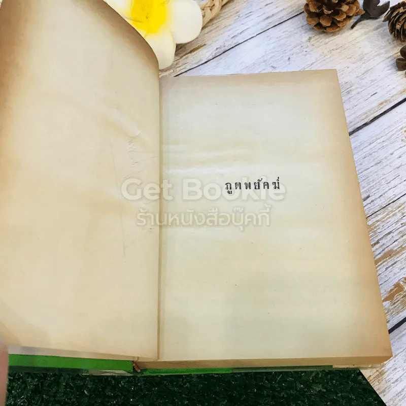 ภูตพยัคฆ์ 2 เล่มจบ - ตรี อภิรุม รูปที่ 7