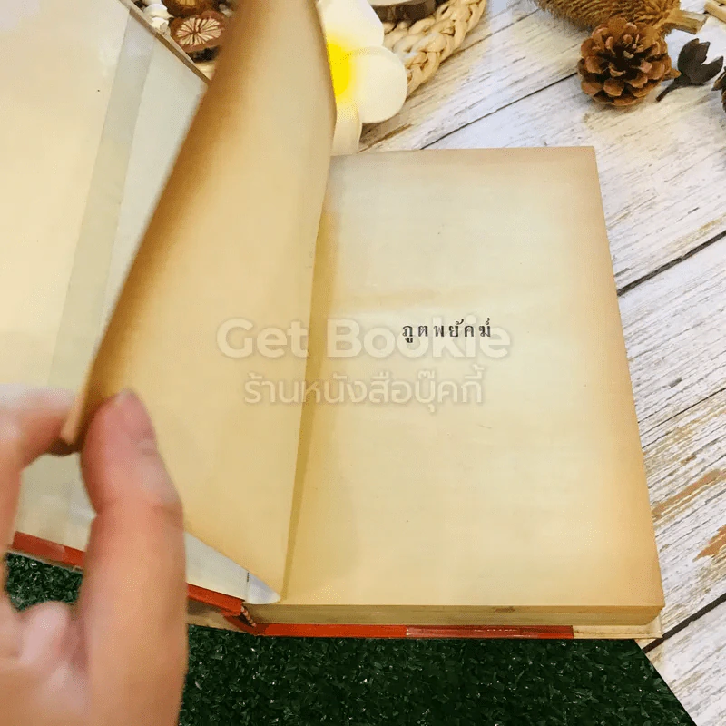 ภูตพยัคฆ์ 2 เล่มจบ - ตรี อภิรุม รูปที่ 12