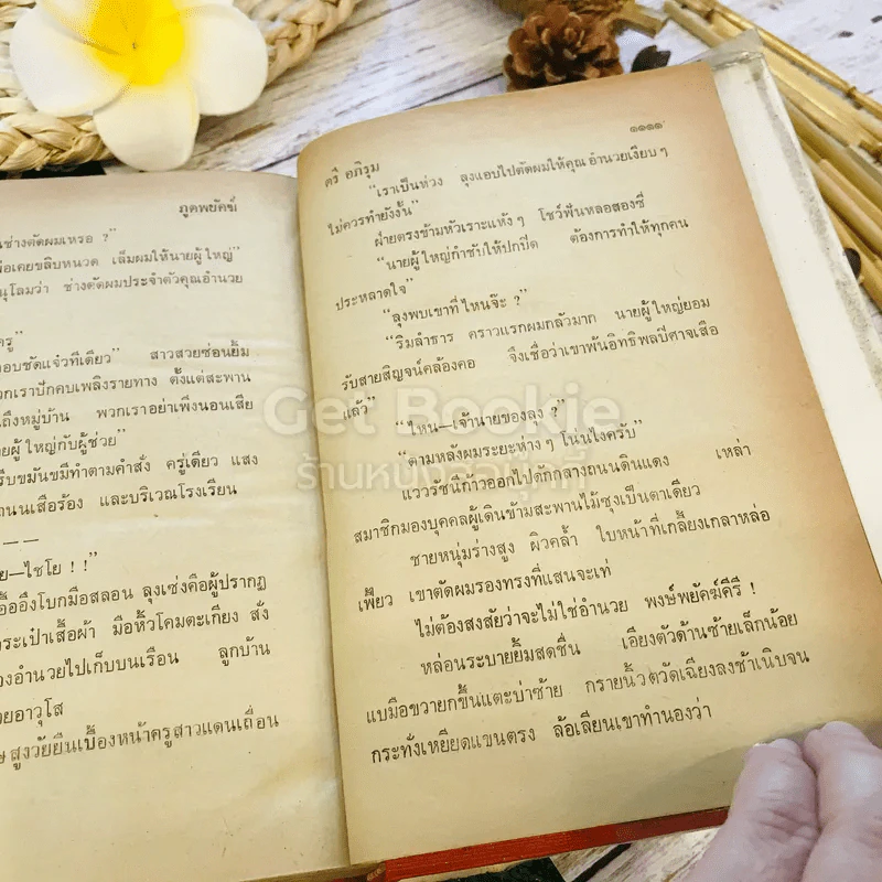 ภูตพยัคฆ์ 2 เล่มจบ - ตรี อภิรุม รูปที่ 15