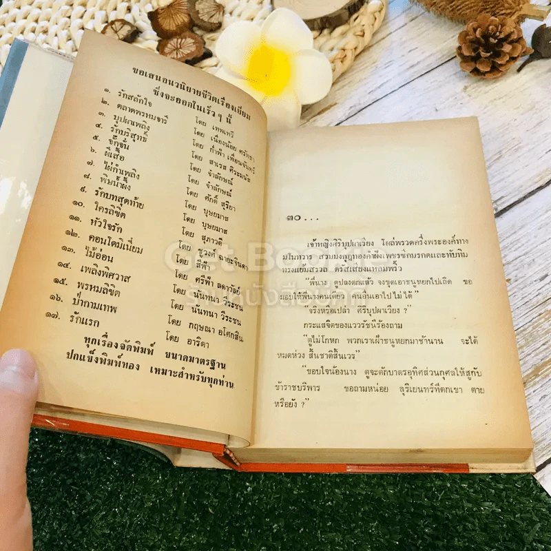 ภูตพยัคฆ์ 2 เล่มจบ - ตรี อภิรุม รูปที่ 14