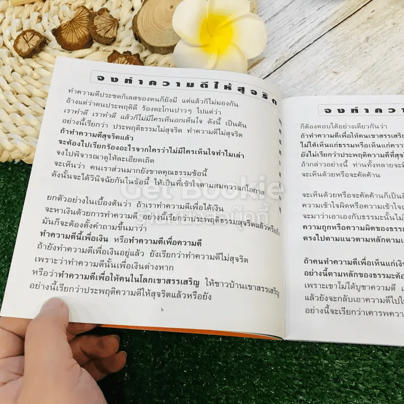 จงทำความดีให้สุจริต รูปที่ 12