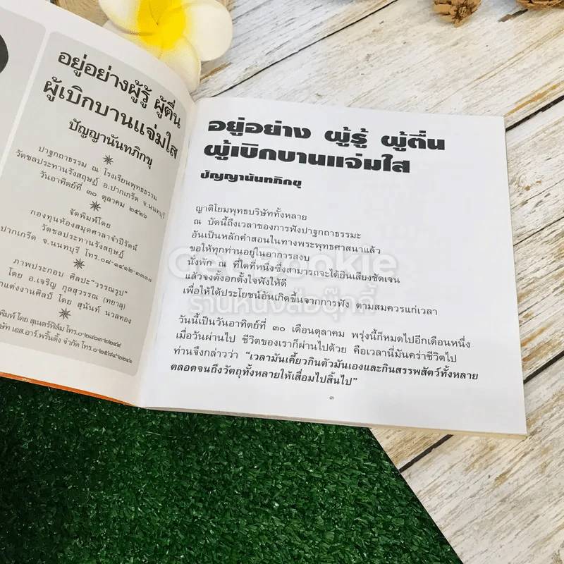 จงทำความดีให้สุจริต รูปที่ 17