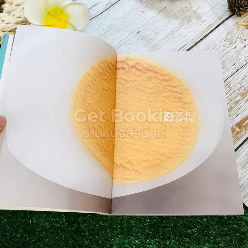 EGG ไข่ สิ่งมหัศจรรย์ของโลก ทำไมต้องไข่ รูปที่ 8
