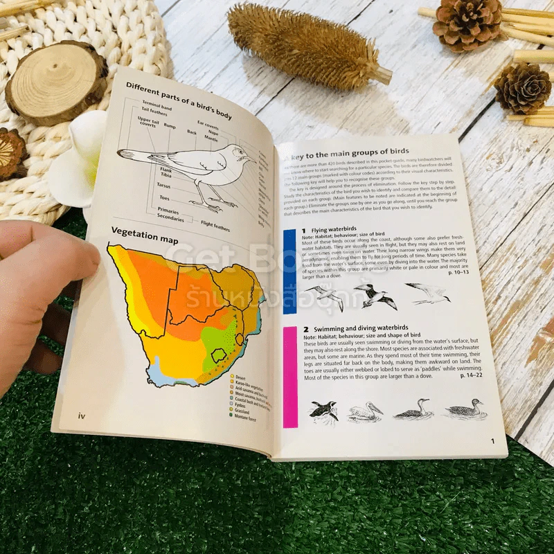 Pocket Guide to Birds of Southern Africa รูปที่ 6
