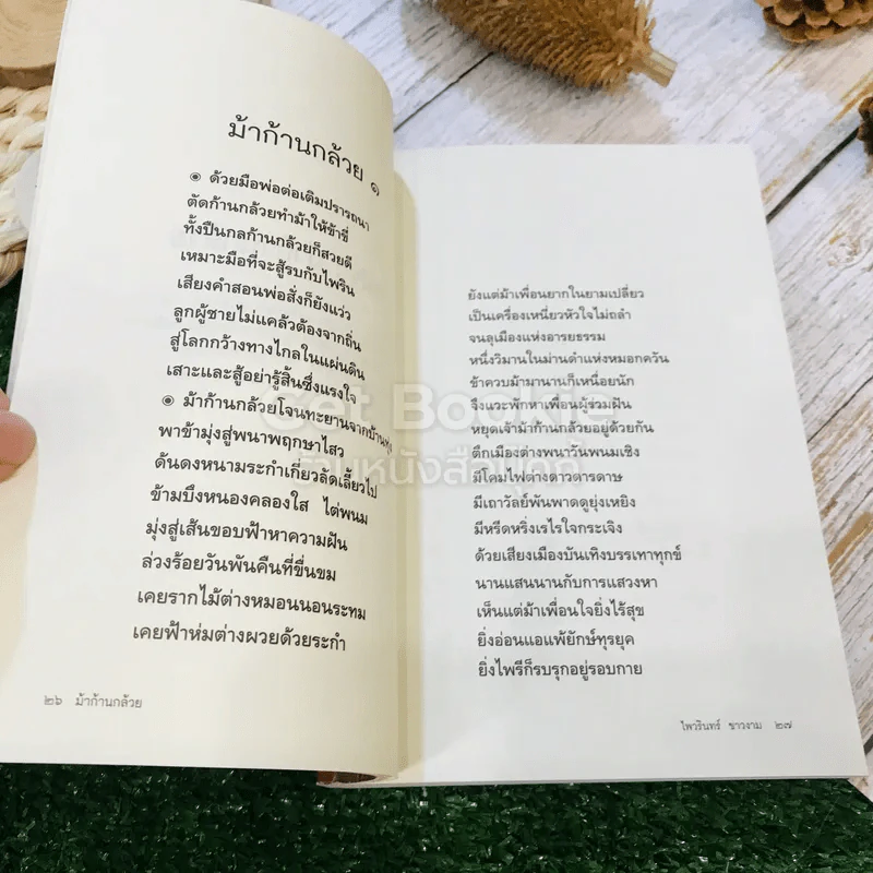 ม้าก้านกล้วย ควบม้าชีวิตฝันแรมนิราศชีวิตจริง รูปที่ 17