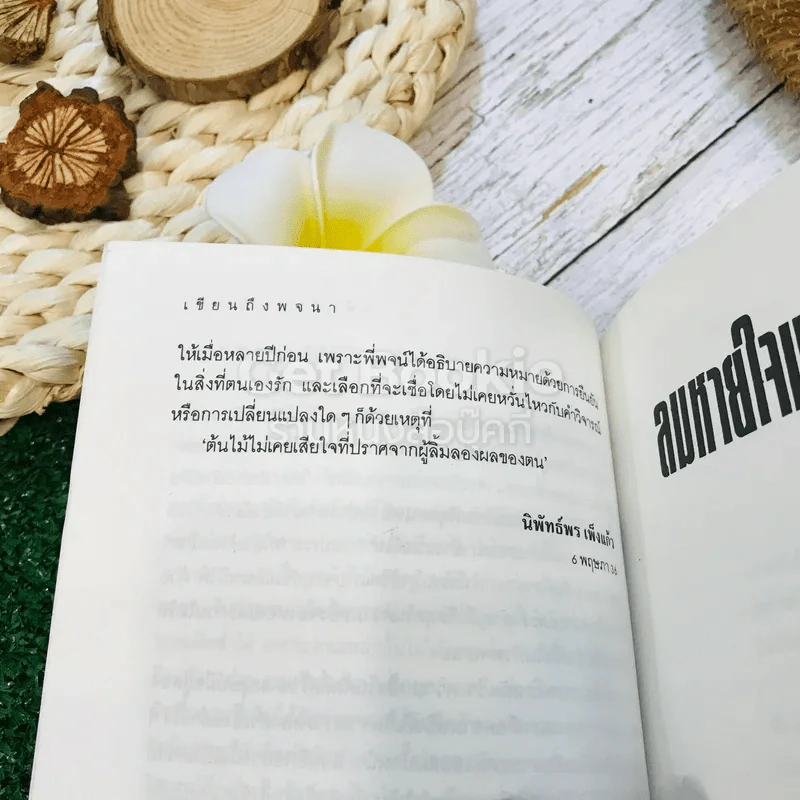 ลมหายใจแห่งชีวิต - พจนา จันทรสันติ รูปที่ 8