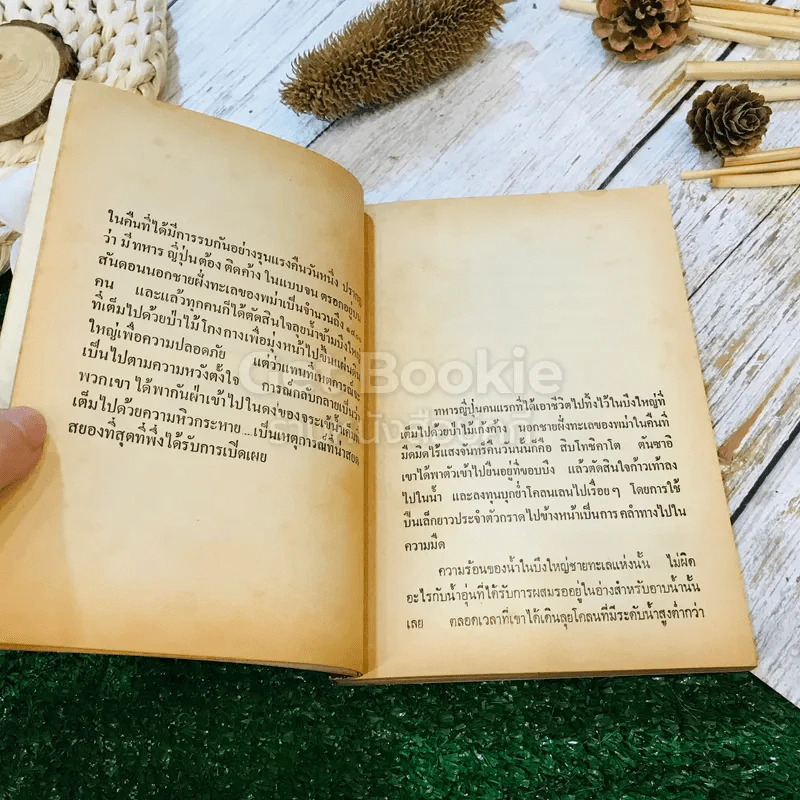 สารคดีพิเศษชุด 1 เรื่องจริง รูปที่ 9