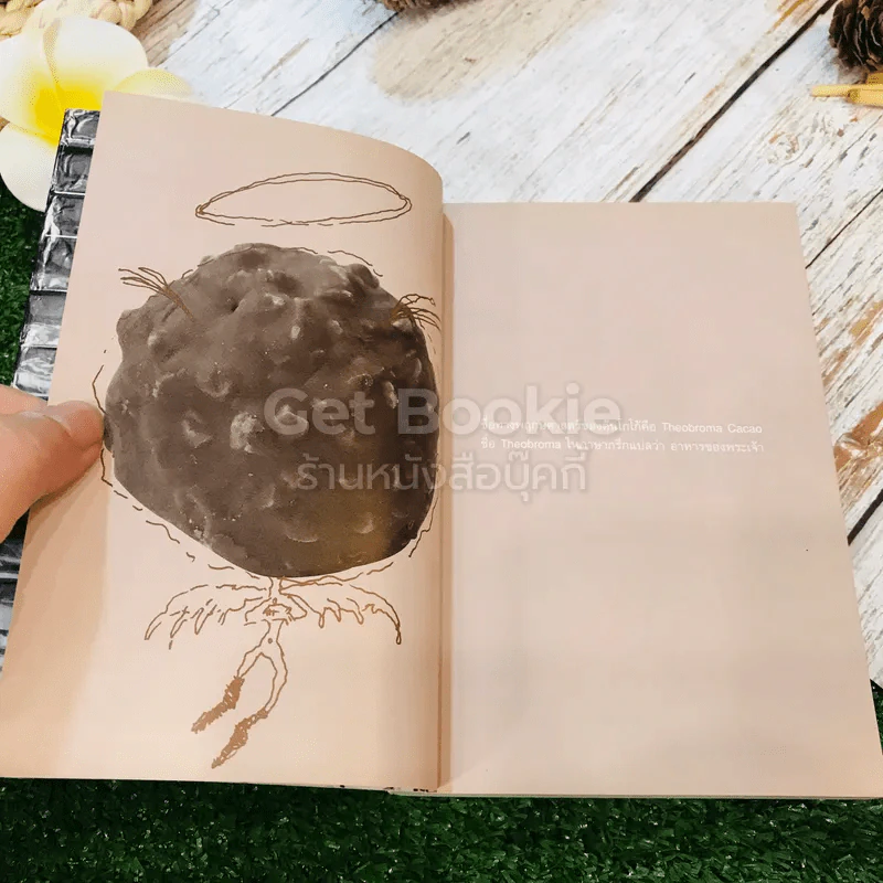 Chocolate เรื่องราวของช็อกโกแลต รูปที่ 9