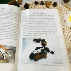 เรื่อง ทองแดง The Story of Tongdaeng (ปกแข็ง) รูปที่ 20