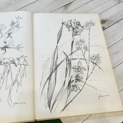 แบบและลวดลายสำหรับระบายสี นูเฮาส์ เล่ม 1-2 ปี 2524 รูปที่ 17