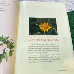 ไม้ดอกแสนสวย ไม้ดอกไม้ประดับ รูปที่ 12