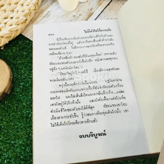 ไม่มีหัวใจให้ความรัก 2 เล่มจบ - ดาริกา รูปที่ 8