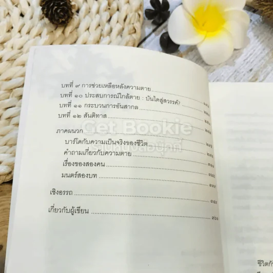 ประตูสู่สภาวะใหม่ จาก The Tibetan Book of Living And Dying รูปที่ 8