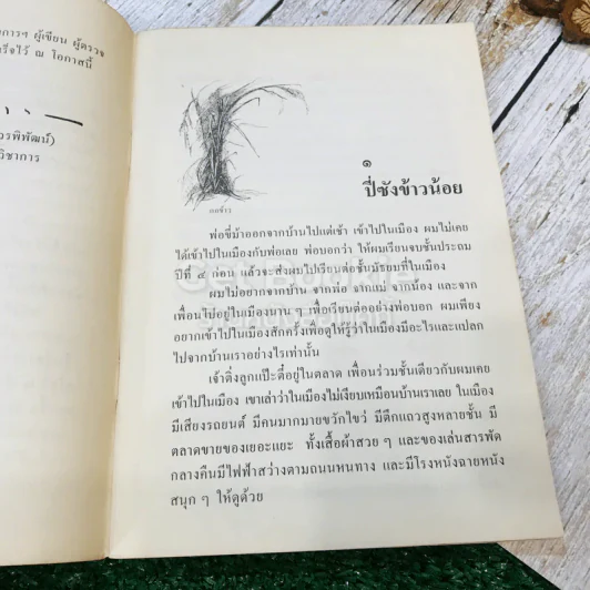 ปี่ซังข้าวน้อย หนังสือส่งเสริมการอ่าน ชุดพระพุทธศาสนาและจริยธรรม ระดับประถมศึกษา รูปที่ 9
