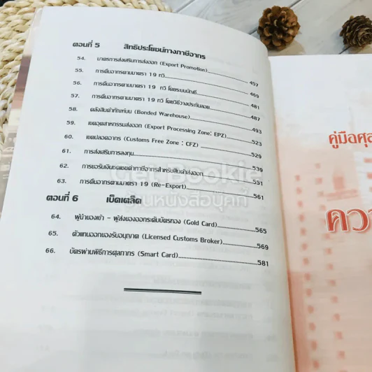 คู่มือศุลกากร ฉบับพิเศษ รูปที่ 10