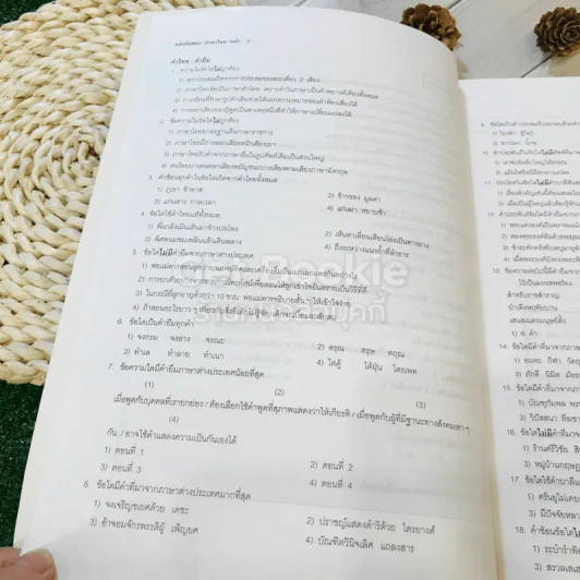 คลังข้อสอบ Entrance ภาษาไทย 1,000 ข้อ - อ.ปิง ดาว้องก์ รูปที่ 14