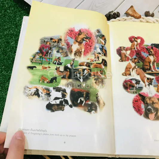 เรื่อง ทองแดง The Story of Tongdaeng (ปกแข็ง) รูปที่ 9