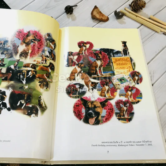เรื่อง ทองแดง The Story of Tongdaeng (ปกแข็ง) รูปที่ 10