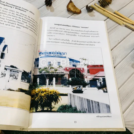 เรื่อง ทองแดง The Story of Tongdaeng (ปกแข็ง) รูปที่ 16