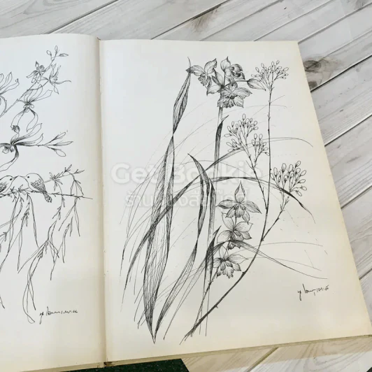 แบบและลวดลายสำหรับระบายสี นูเฮาส์ เล่ม 1-2 ปี 2524 รูปที่ 17