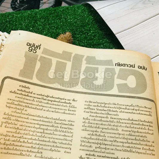 เฟี้ยว ฉบับที่ 95 รูปที่ 8