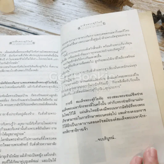 สมเด็จพระสุริโยทัย 2 เล่มจบ รูปที่ 16