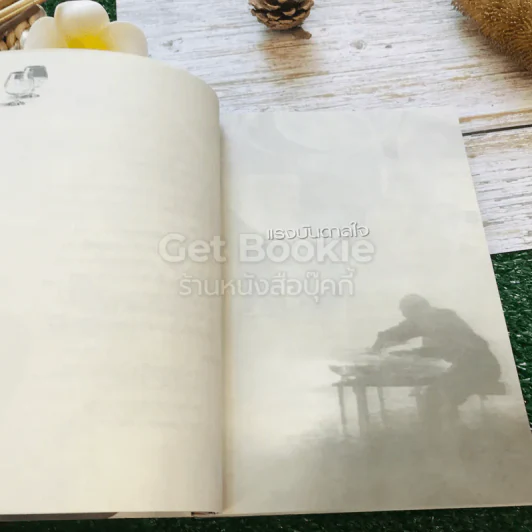พิณแก้ว พลิกชีวิตใหม่ รูปที่ 13