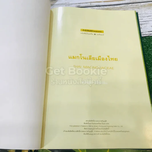 แมกโนเลียเมืองไทย Thai Magnoliaceae รูปที่ 5