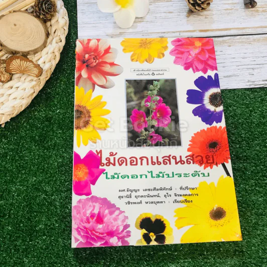 ไม้ดอกแสนสวย ไม้ดอกไม้ประดับ รูปที่ 1