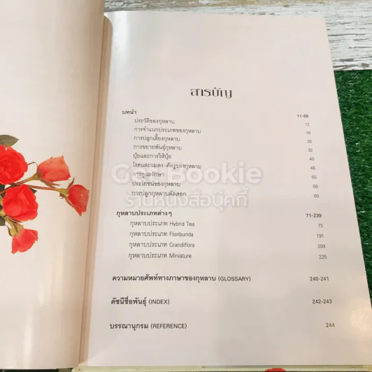 กุหลาบ ราชินีดอกไม้ รูปที่ 10
