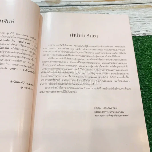 กุหลาบ ราชินีดอกไม้ รูปที่ 9
